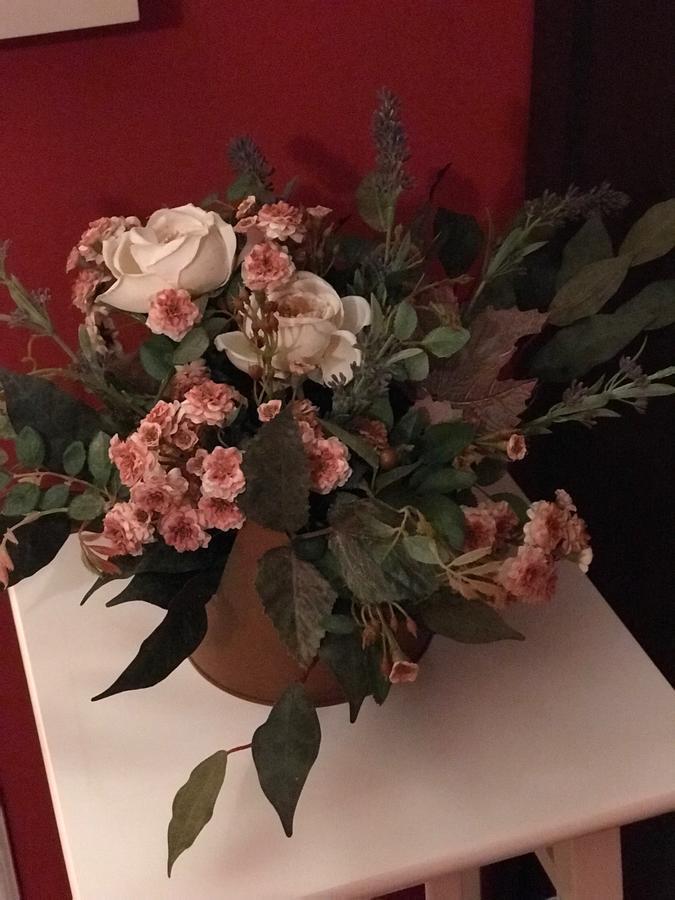 קרמניולה B&B Binot מראה חיצוני תמונה